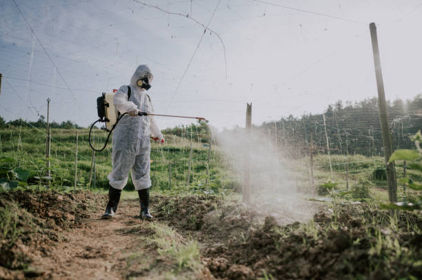Best Affordable Pest Control Services  in Layhill, MD