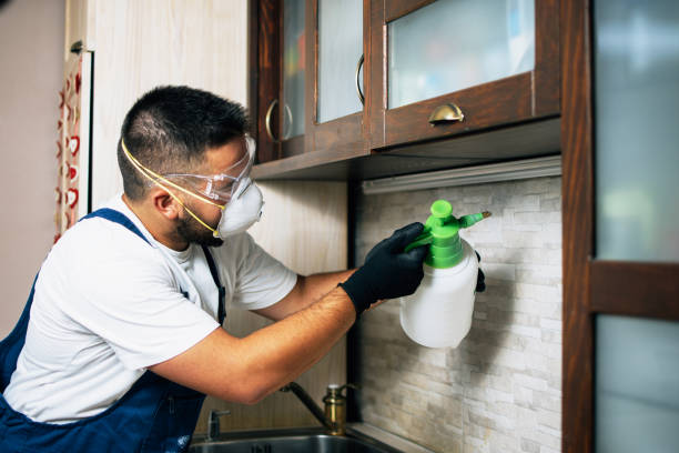 Professional Pest Control in Layhill, MD