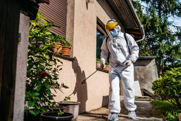 Best Pest Prevention Services  in Layhill, MD